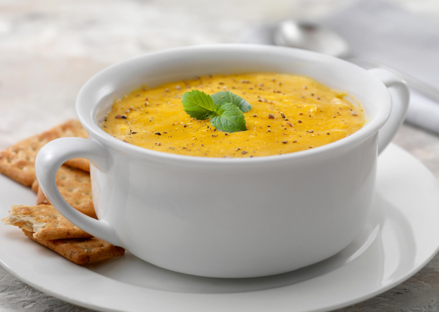 Butternut Squash Soup