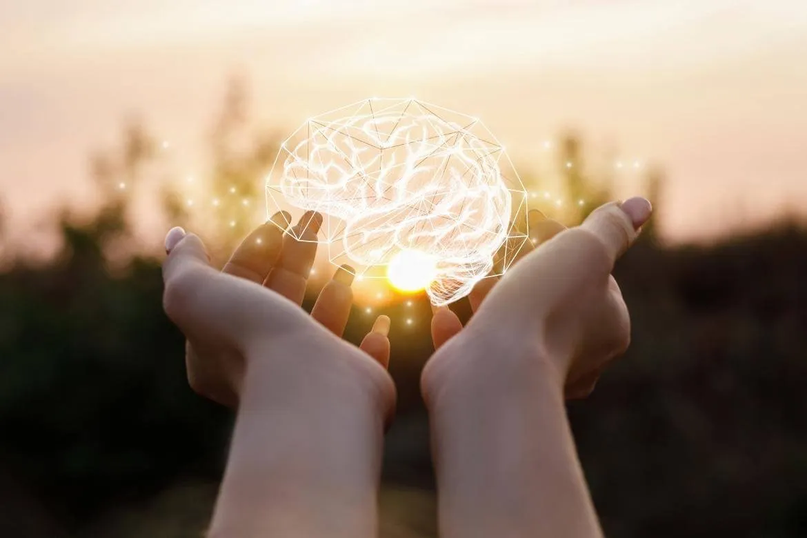 Novelty Experiences for Brain Health