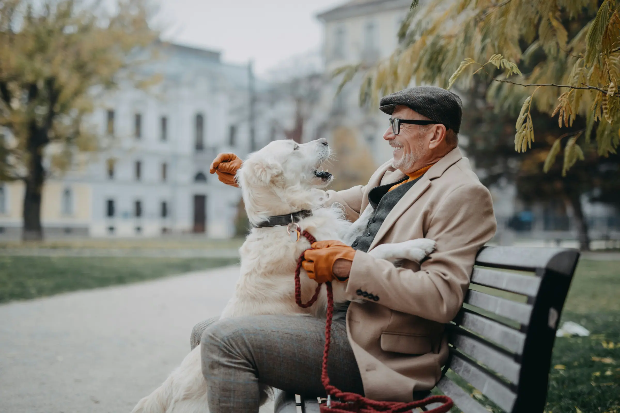 Retirement Pets: The Benefits of Furry Friends While We Age