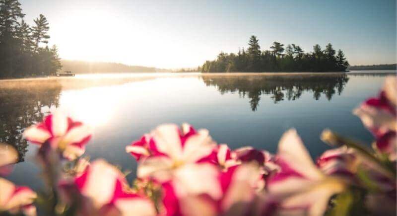 sun shining over a lake in Ontario